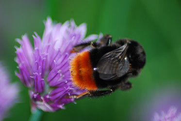 Similar image 1323245