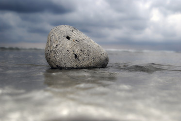 Similar image 1323246