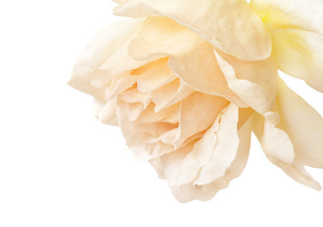 Similar image 1323247