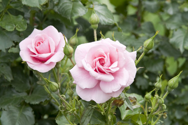 Similar image 1323251