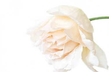 Similar image 1323256