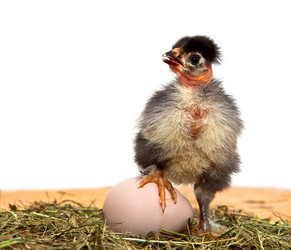 Similar image 1323271