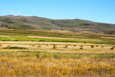 Similar image 1323292