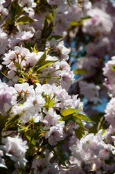 Similar image 1323308