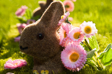 Similar image 1323316