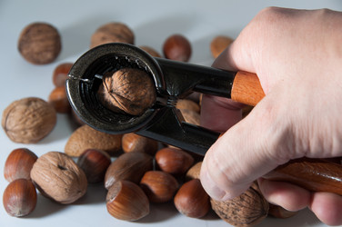 Similar image 1323333