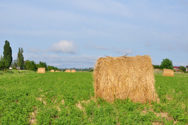 Similar image 1323427