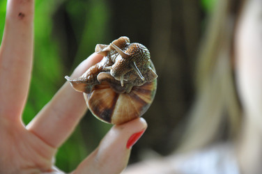 Similar image 1323434