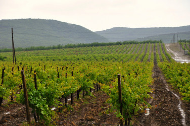 Similar image 1323436