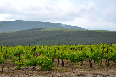 Similar image 1323437