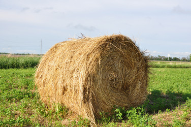 Similar image 1323438