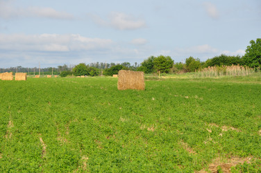 Similar image 1323439