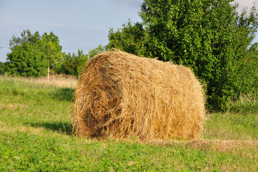 Similar image 1323441