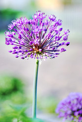 Similar image 1323452