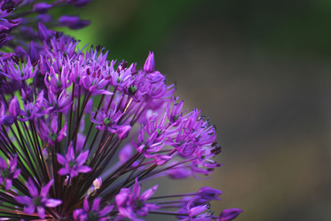 Similar image 1323454