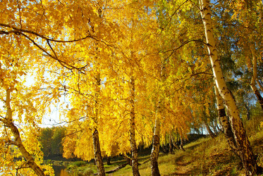 Similar image 1323507