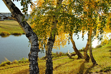 Similar image 1323508