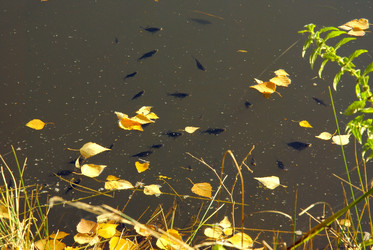 Similar image 1323509