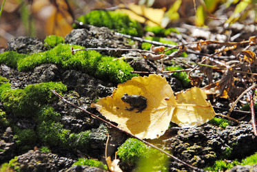 Similar image 1323510