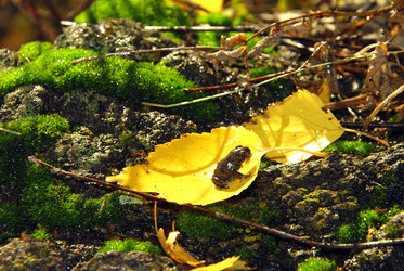 Similar image 1323511