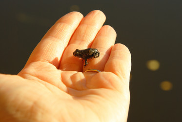 Similar image 1323512