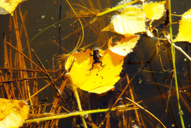 Similar image 1323513