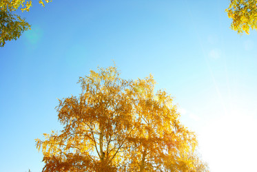 Similar image 1323514