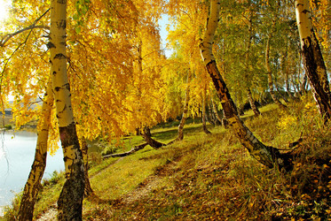 Similar image 1323518