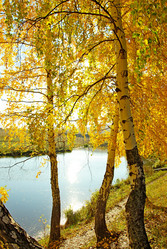 Similar image 1323519