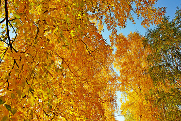 Similar image 1323522