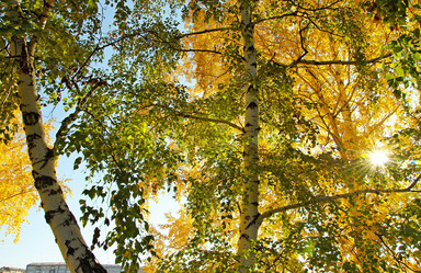 Similar image 1323523