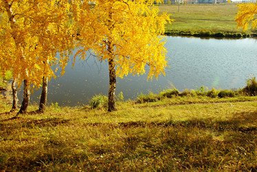 Similar image 1323524