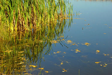 Similar image 1323526