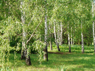 Similar image 1323630