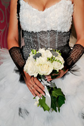 Similar image 1323636