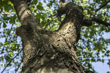 Similar image 1323637