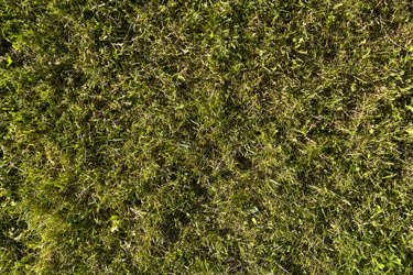 Similar image 1323638