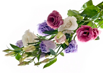 Similar image 1323642