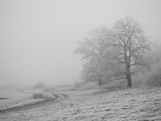 Similar image 1323643