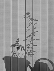 Similar image 1323644