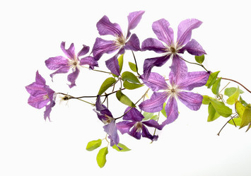 Similar image 1323645