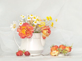 Similar image 1323646