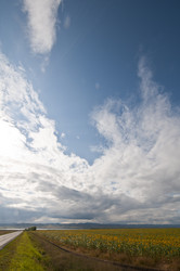 Similar image 1323653