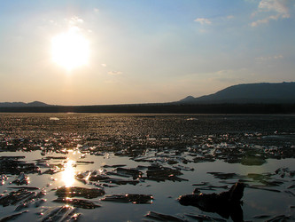 Similar image 1323658