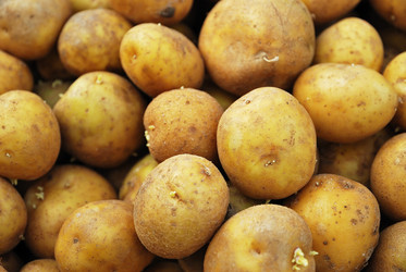 Similar image 1323669