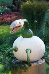 Similar image 1323681