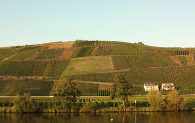 Similar image 1323683