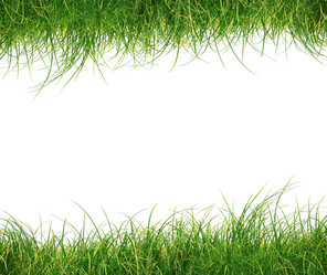 Similar image 1323688