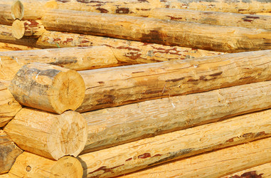 Similar image 1323689