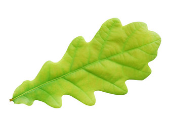 Similar image 1323700